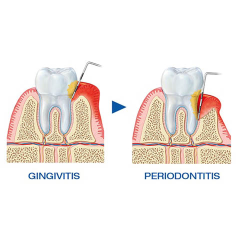 dentistry